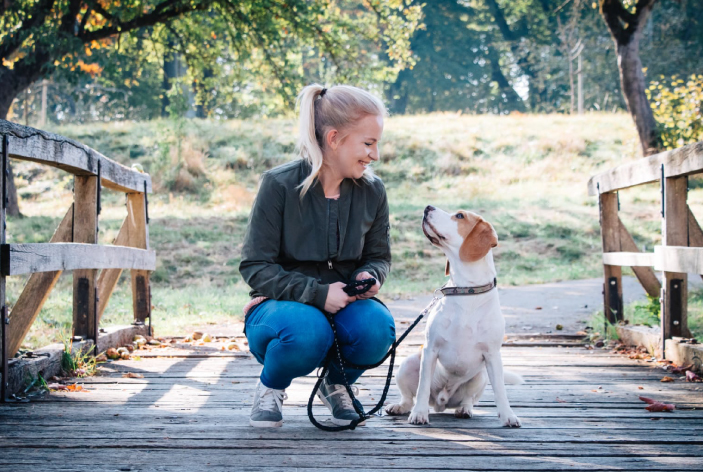 beispiel ernaehrungsberatung fuer hunde
